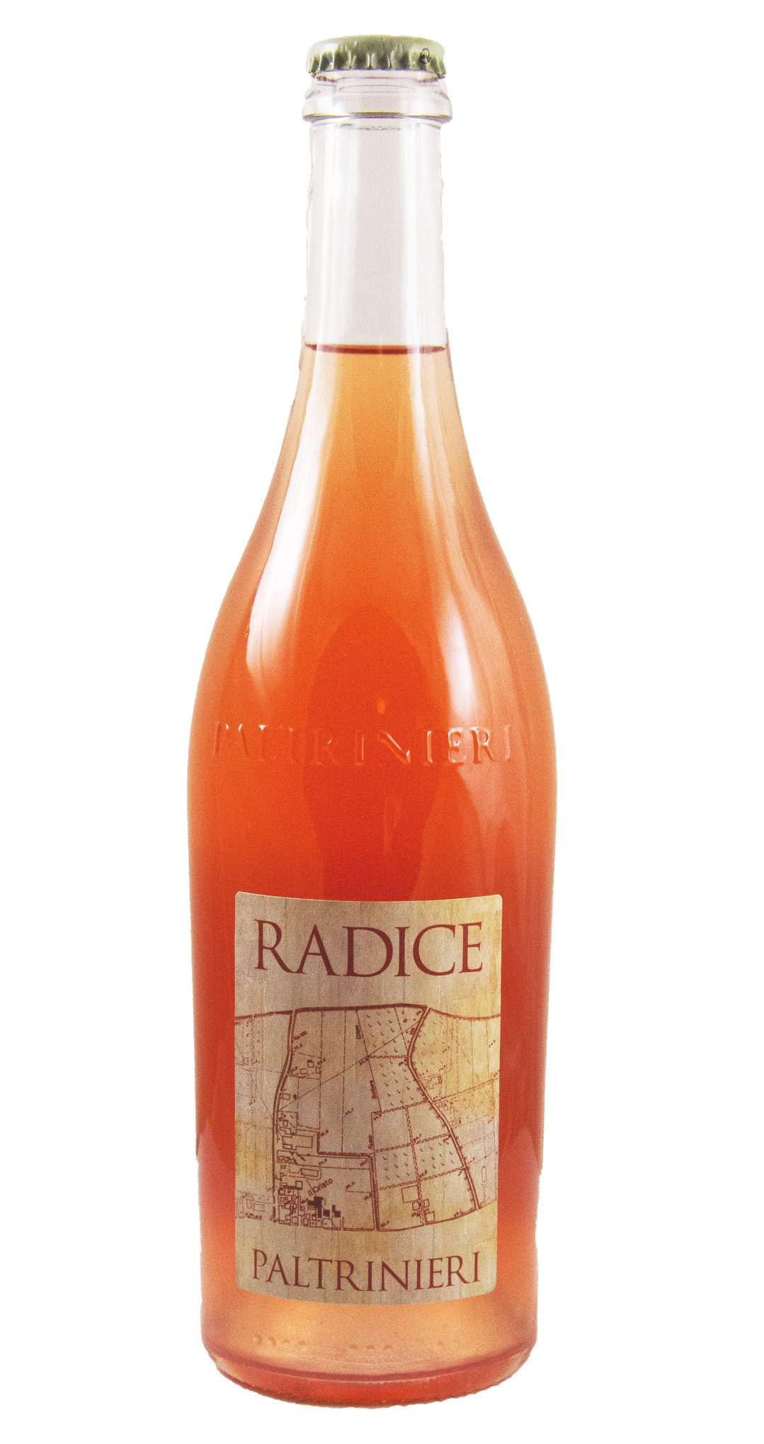 Lambrusco Radice
